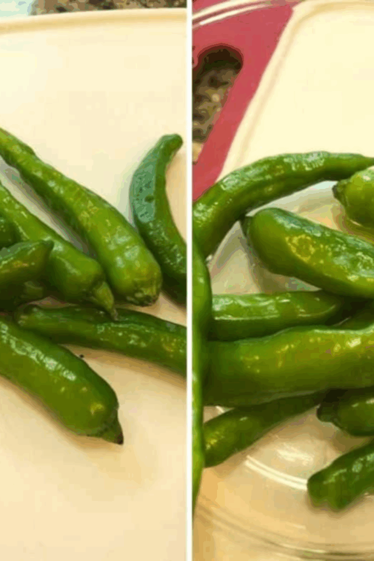 Shishito peppers in a bowl being coated with olive oil, salt, and pepper before cooking.