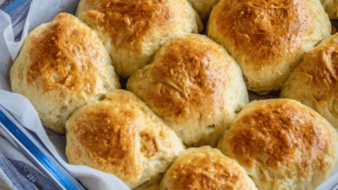 Instant pot best sale dinner rolls