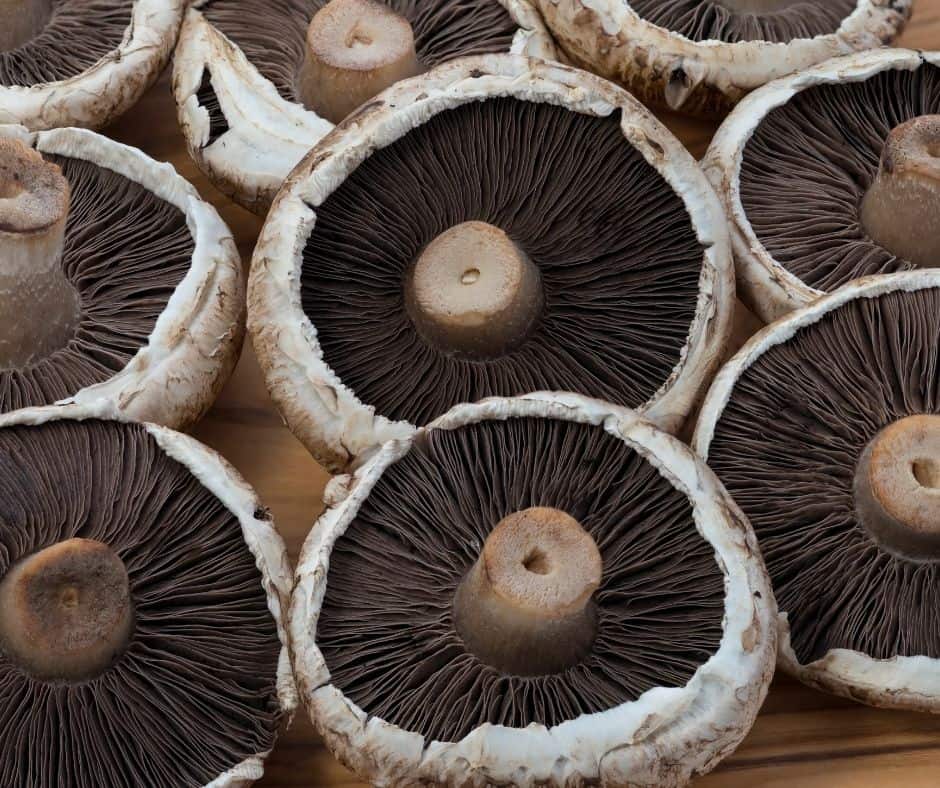Air Fryer Cheese Stuffed Portobello Mushrooms