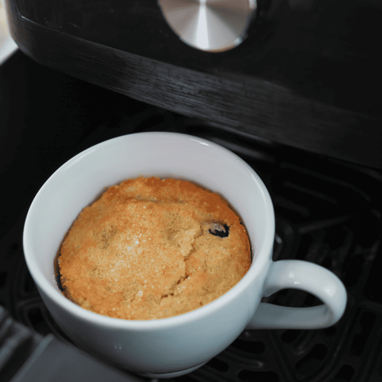 Air Fryer Blueberry Muffin Mug Cake