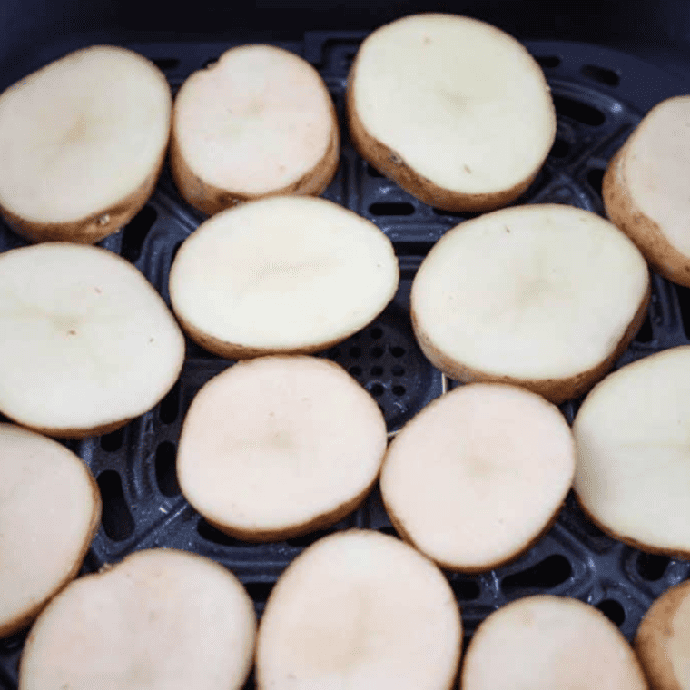 Easy Air Fryer Potato Skins (3)