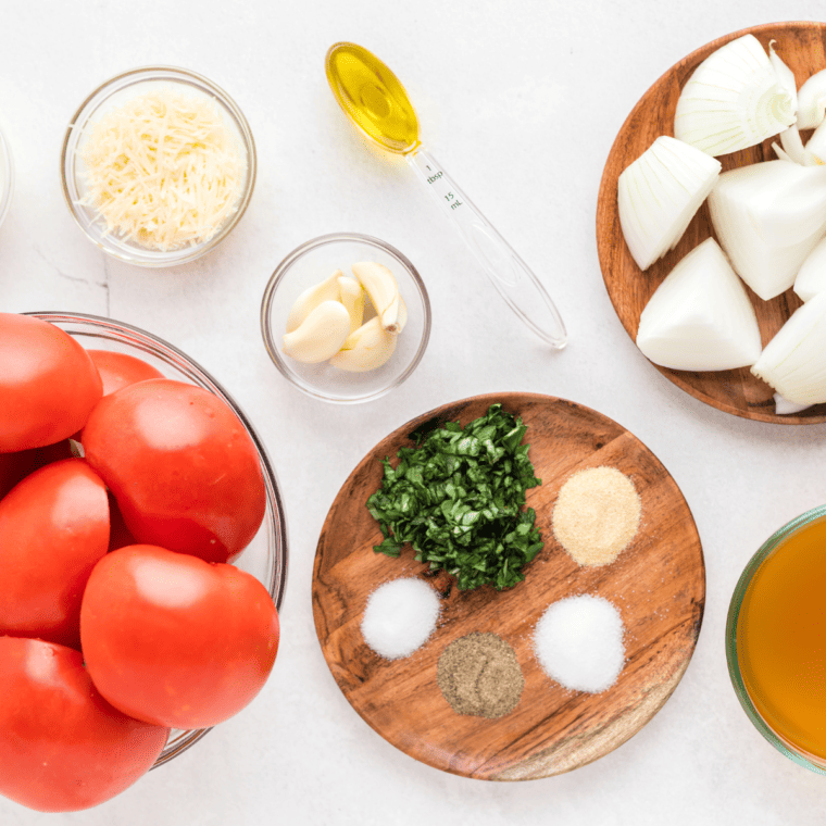 overhead: ingredients needed to make my roasted salsa air fryer recipe