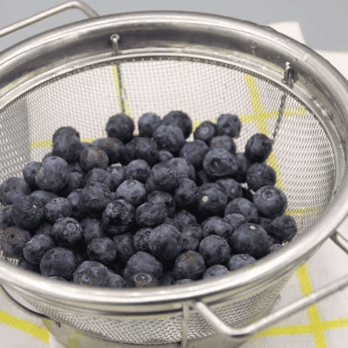 Air Fryer Dehydrated Blueberries  
