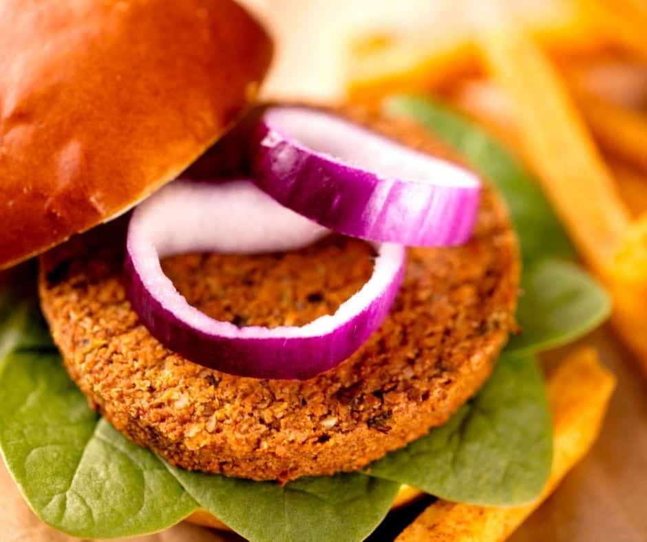 Open faced veggie burger with red onion on top. 