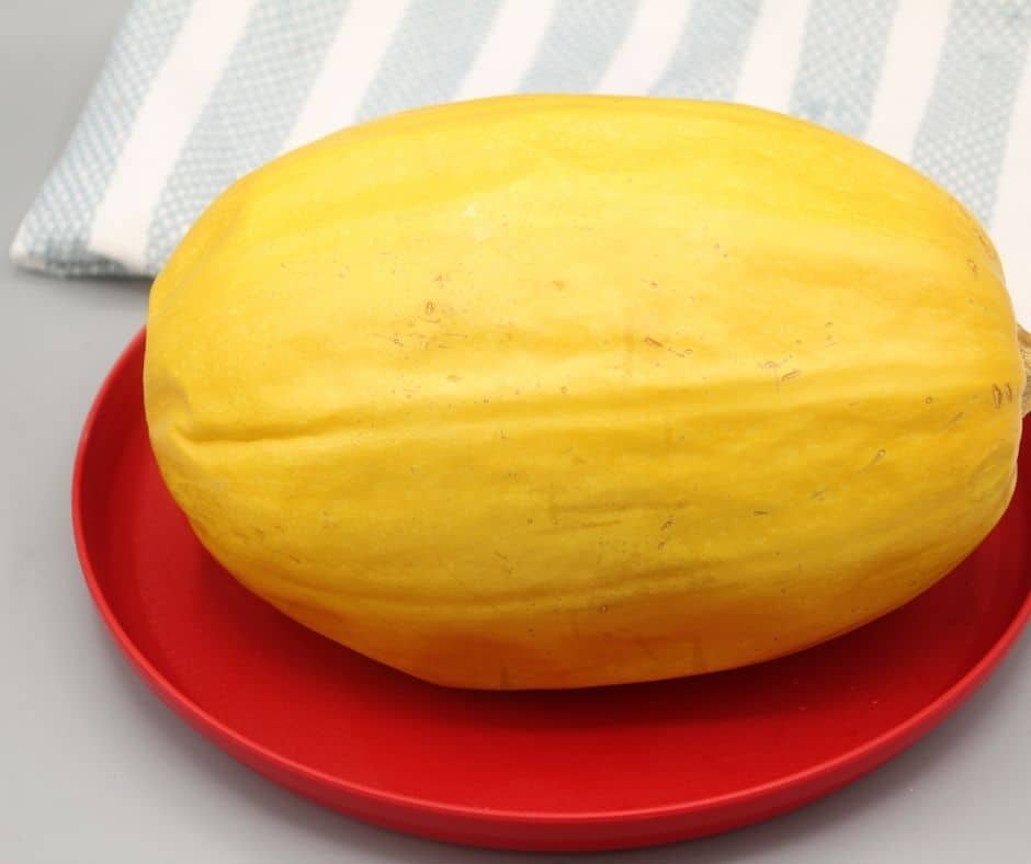 Cooking spaghetti squash discount in ninja foodi