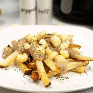 air-fryer-easy-poutine-french-fries
