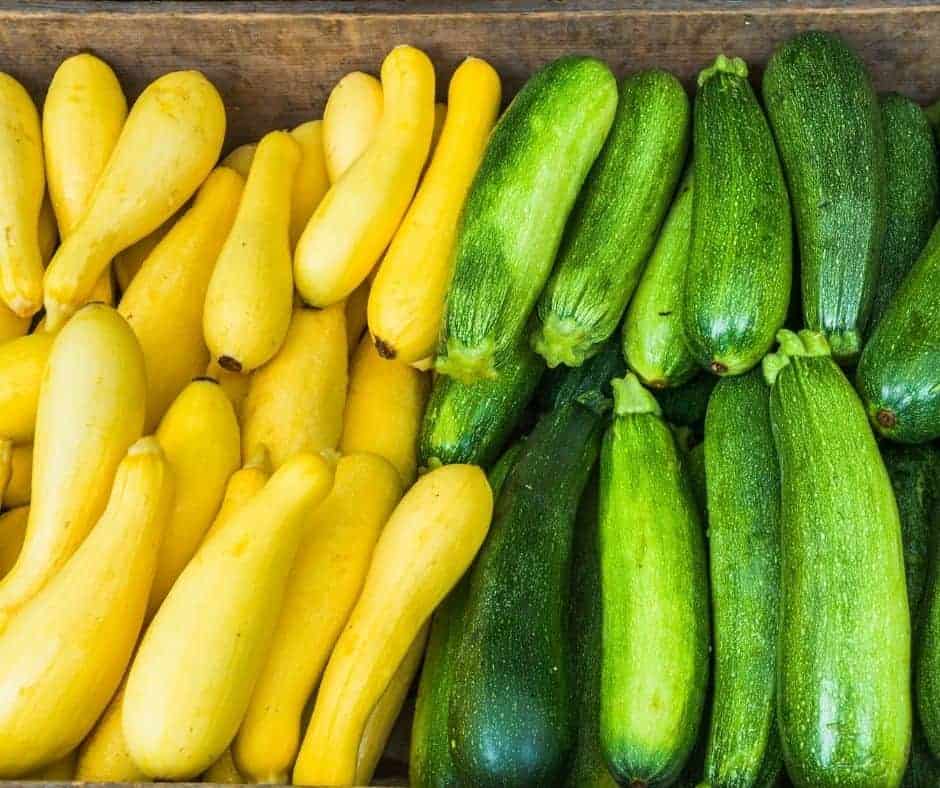 Ingredients Needed For Air Fryer Summer Squash