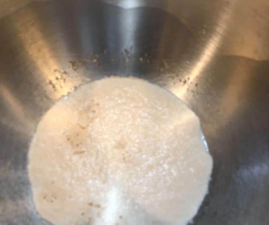Yeast in Bowl