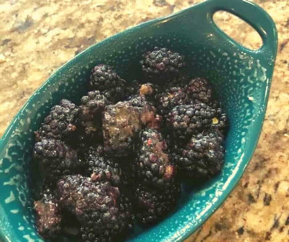 Blackberries with Sugar in Bowl