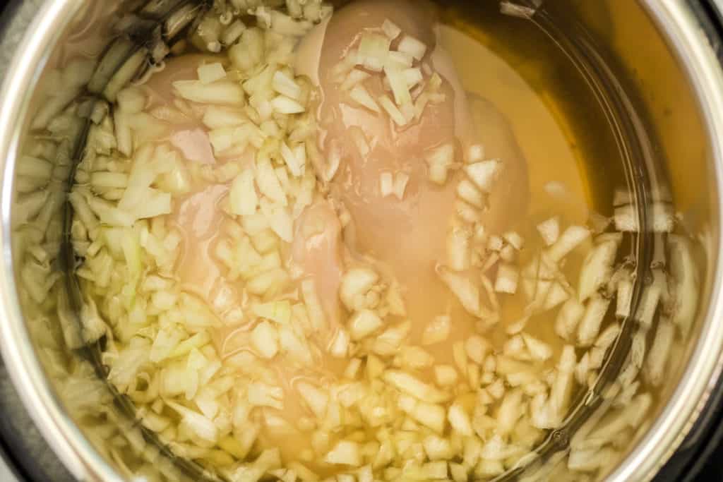 Add Chicken, Onions and Broth in Instant Pot