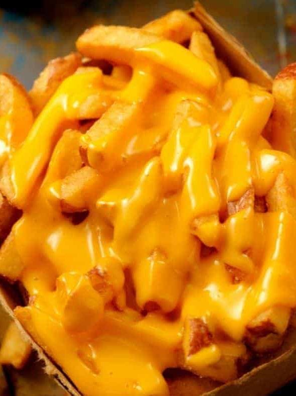 Instant Pot Vortex Air Fryer How to Make The BEST Frozen French Fries