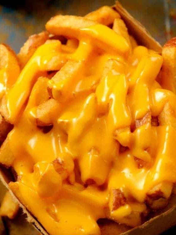 Instant Pot Vortex Air Fryer How to Make The BEST Frozen French Fries