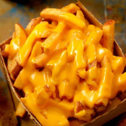 Air-Fryer-Cheese-Fries-500x500.png