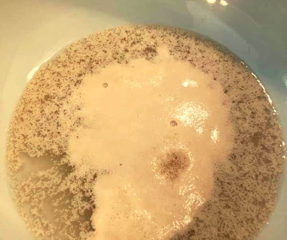 Yeast in Bowl