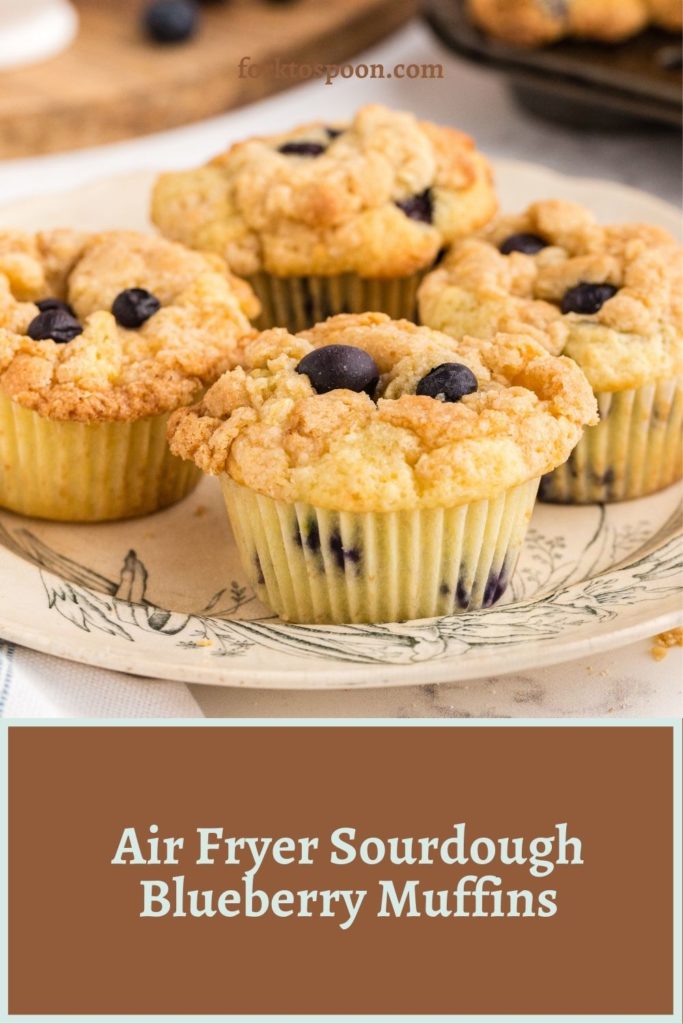 Air Fryer Sourdough Blueberry Muffins