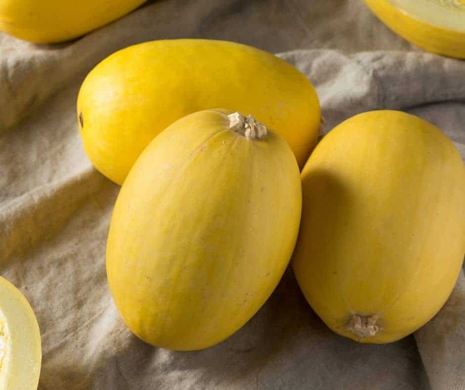 several whole spaghetti squash for the best air fryer spaghetti squash recipe