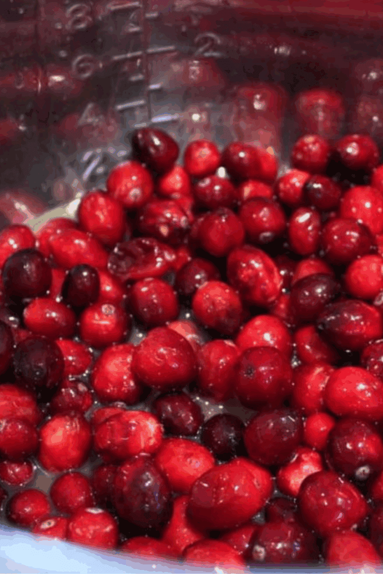Place the cranberries into the Instant pot.