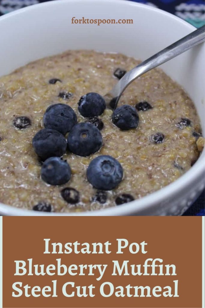 Instant Pot Blueberry Muffin Steel Cut Oatmeal