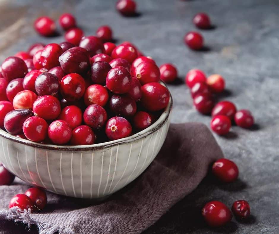 Ingredients Needed For Instant Pot Cranberry Sauce
