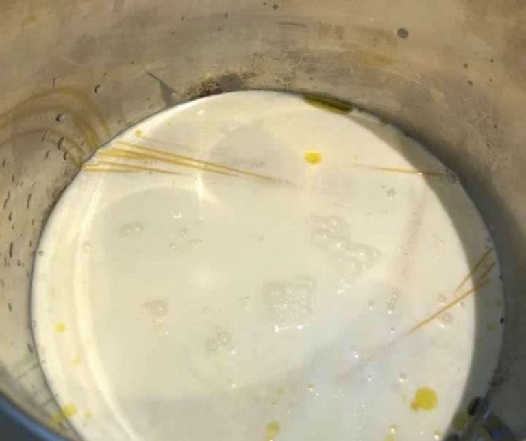 Instant Pot Copycat Parmesan Pasta Roni Fork To Spoon