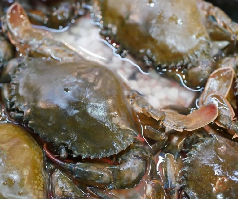 Air Fryer Soft Shell Crab - Fork To Spoon