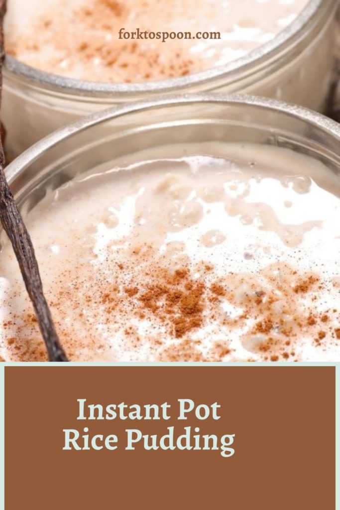 Instant Pot Rice Pudding