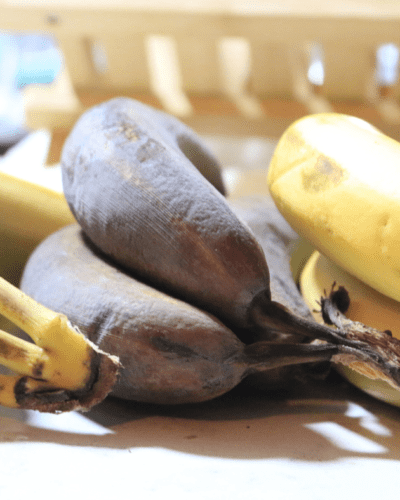 How To Ripen Bananas Quickly In the Air Fryer