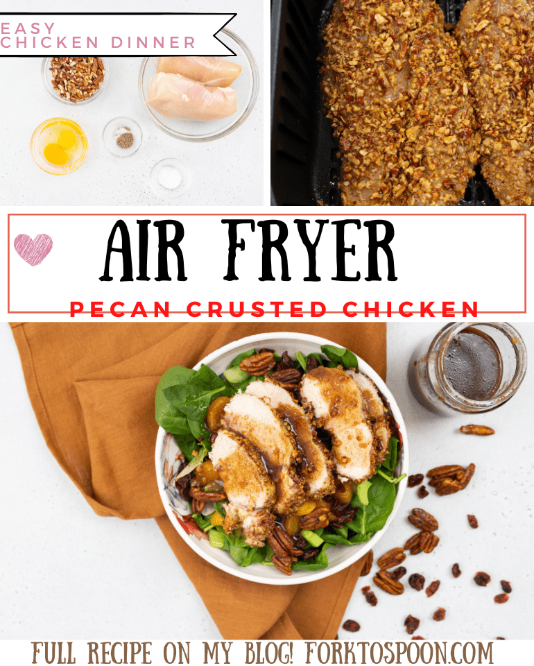 Air Fryer Pecan Crusted Chicken