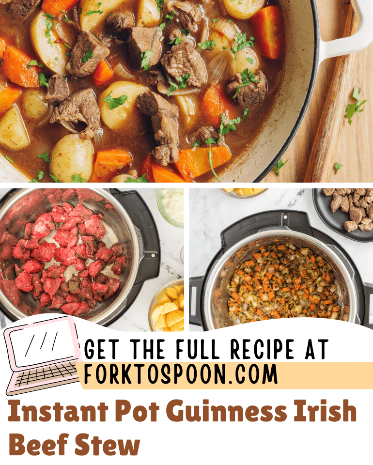 Instant Pot Guinness Irish Beef Stew