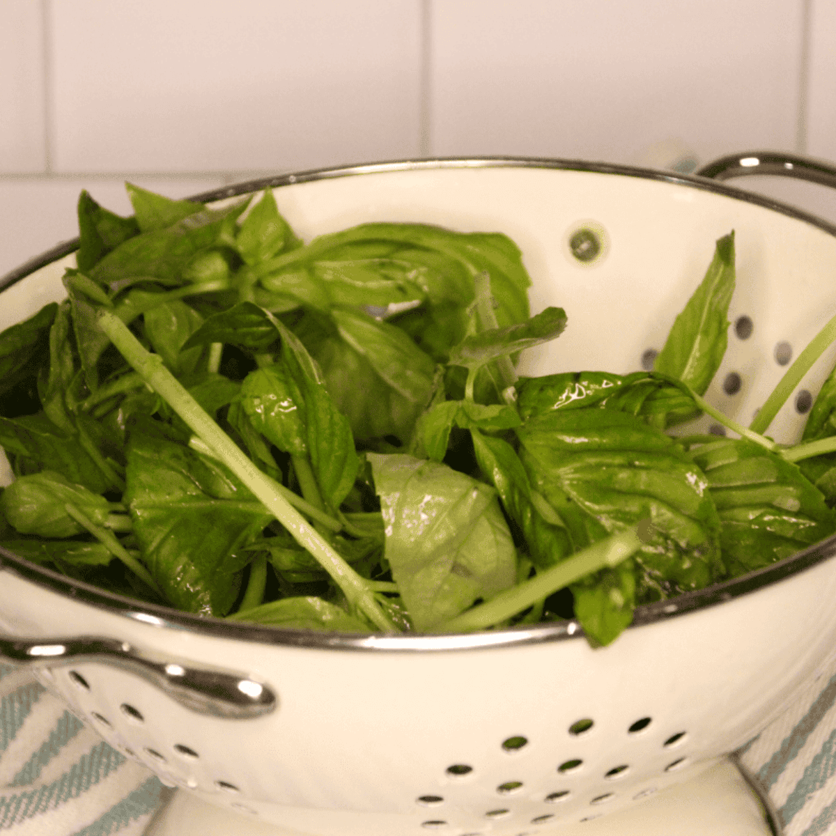 Crispy air fryer dehydrated basil leaves in a bowl with fresh basil and an air fryer nearby.