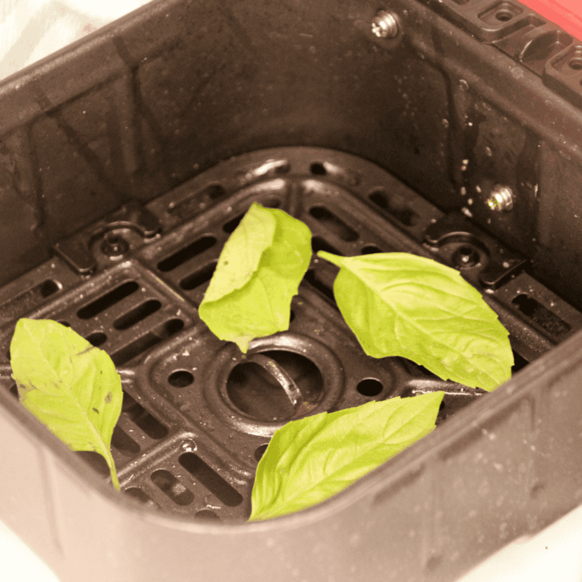 Place basil into the air fryer basket.