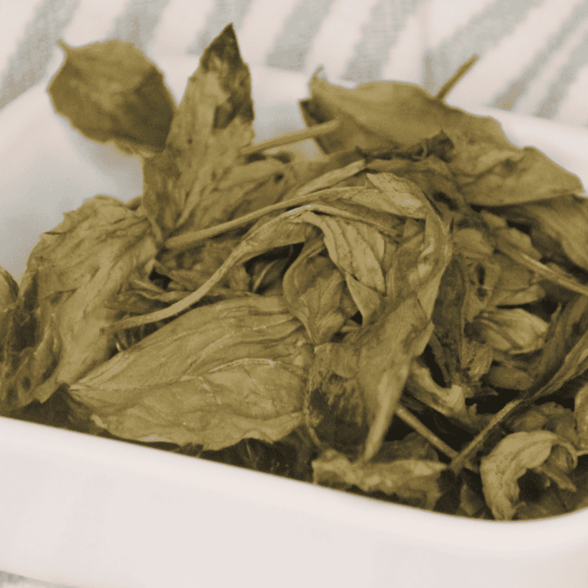 Dehydrated basil leaves in a small jar with fresh basil and an air fryer in the background.