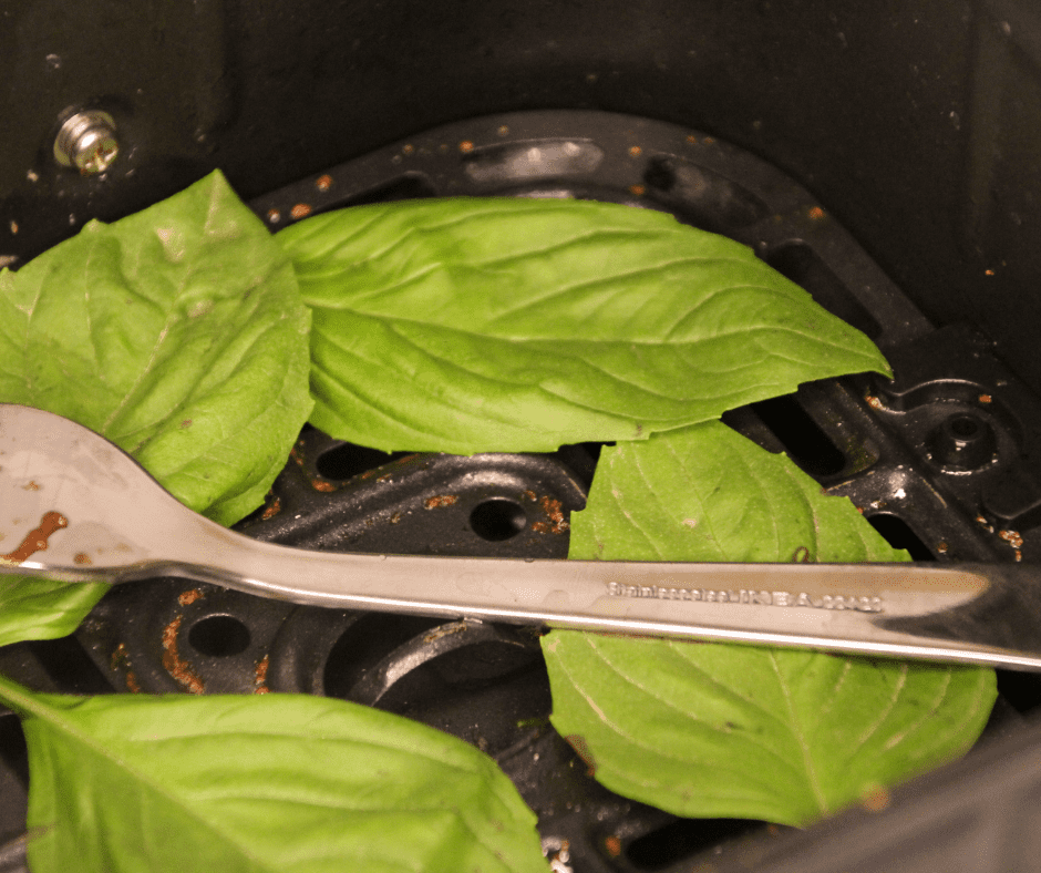 How To Dry Basil In An Air Fryer