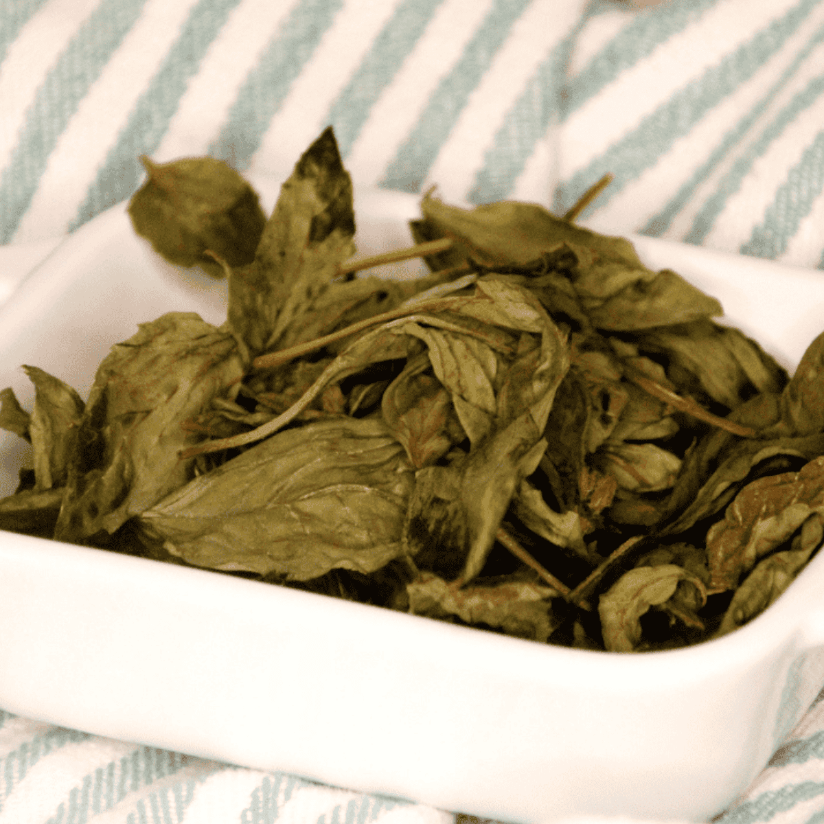 Dried basil leaves in a small bowl with fresh basil and an air fryer in the background.