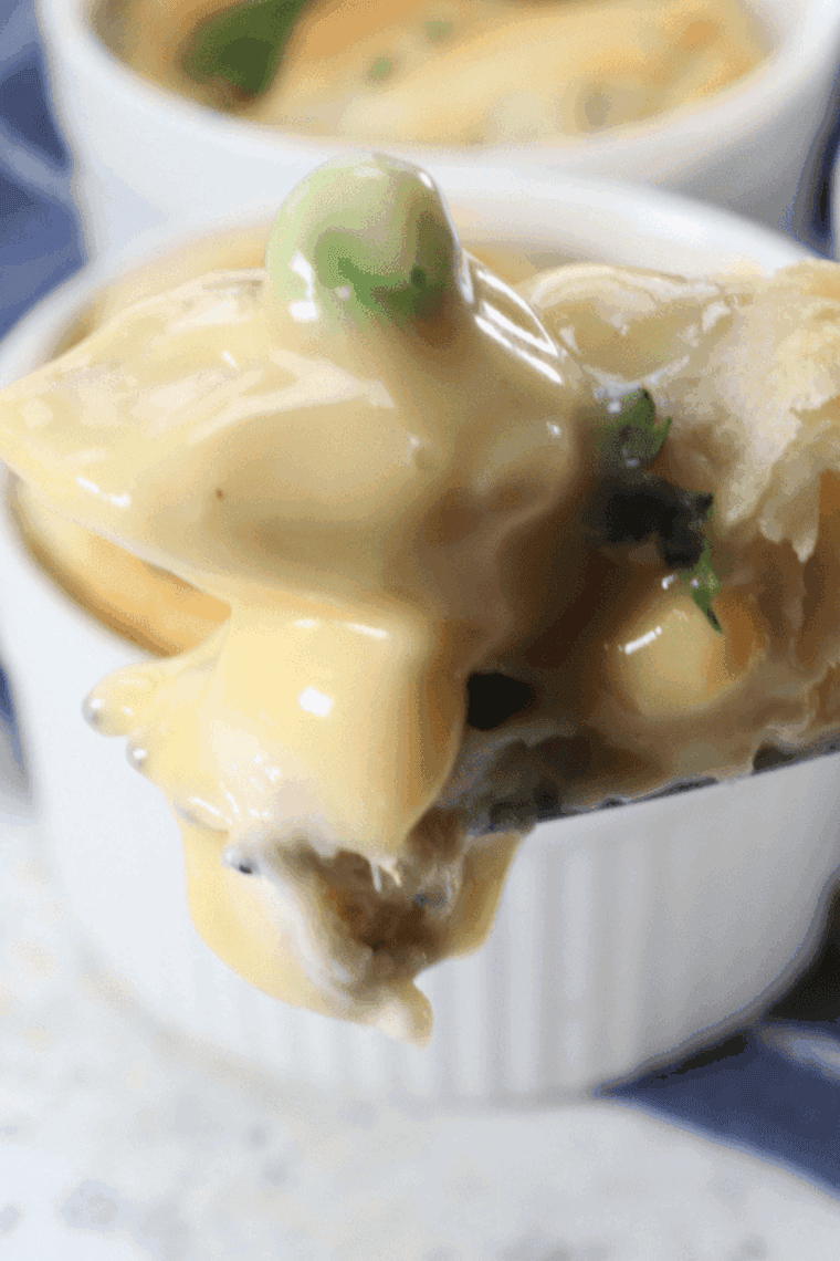 Golden Air Fryer Leftover Turkey Pie with crispy crust and savory filling