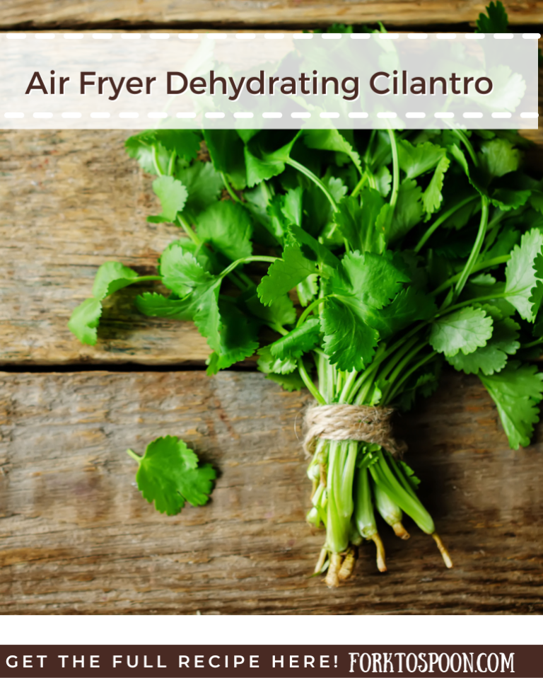 Air Fryer Dehydrating Cilantro Fork To Spoon