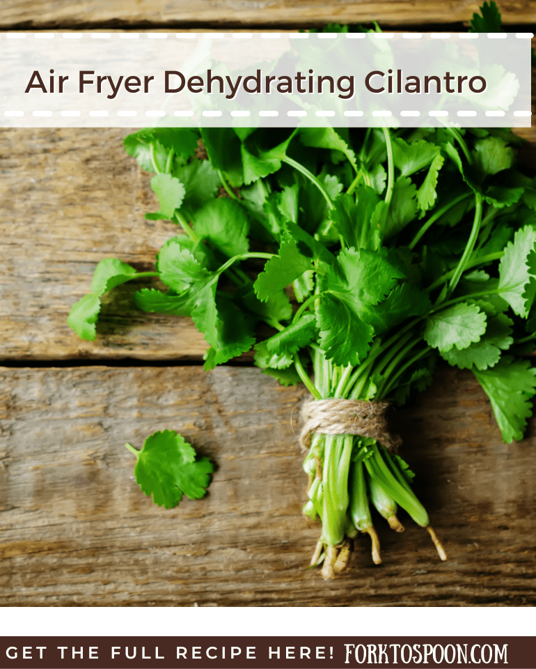 Air Fryer Dehydrating Cilantro