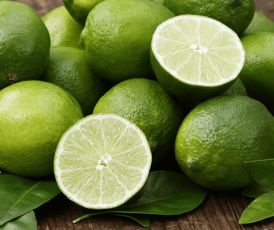 Ingredients Needed For Dehydrated Limes In The Air Fryer