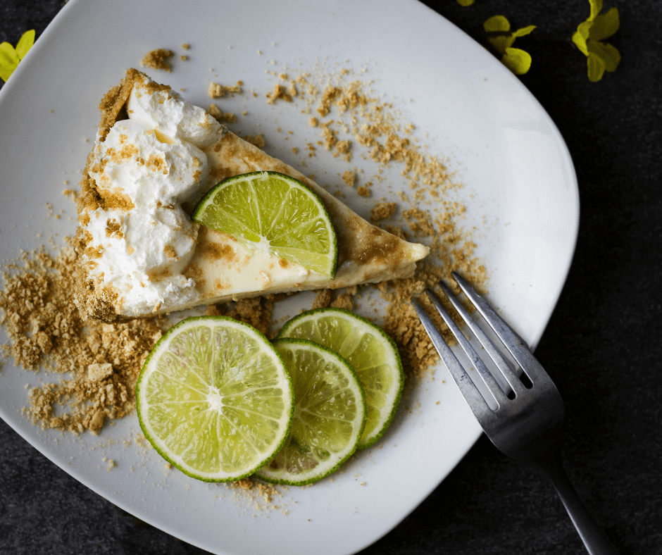 Dehydrated Limes In The Air Fryer - Fork Spoon