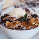 Instant Pot Blueberry Cake