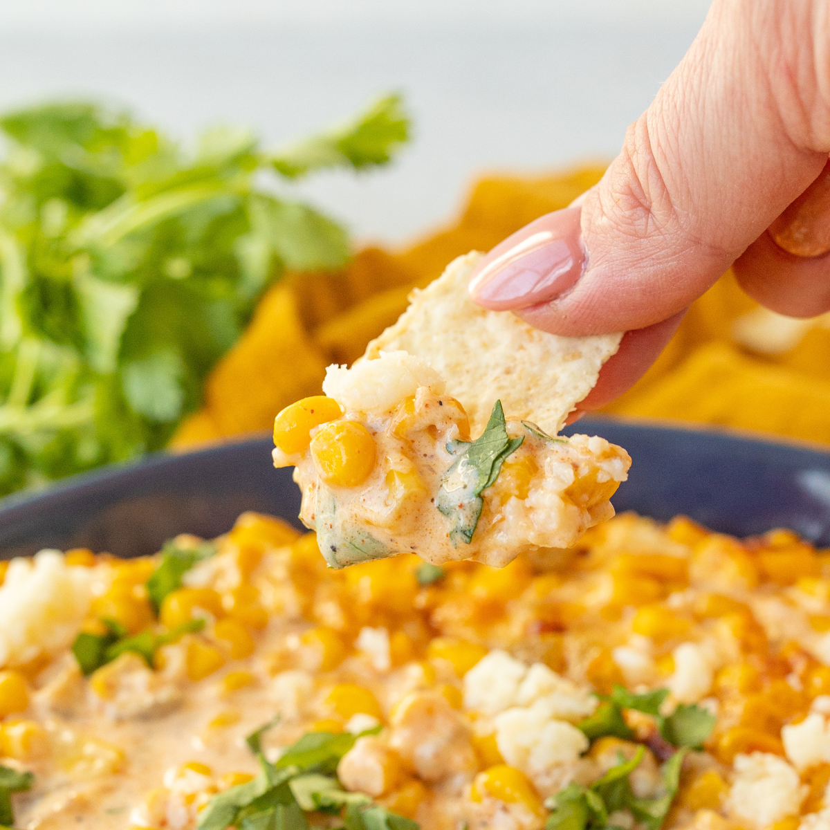 Air Fryer Mexican Corn Dip