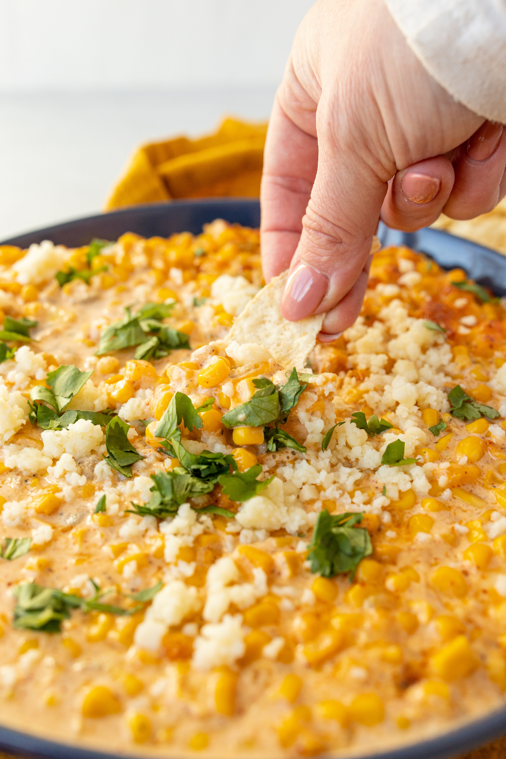 Air Fryer Mexican Corn Dip