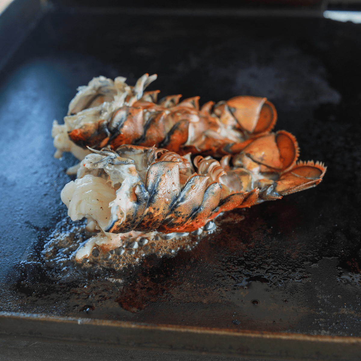 Blackstone Grilled Lobster Tails
