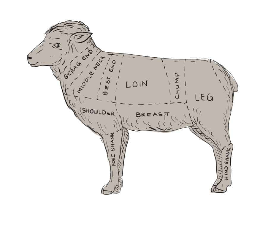An illustration of a lamb with the different cuts of meat labeled.