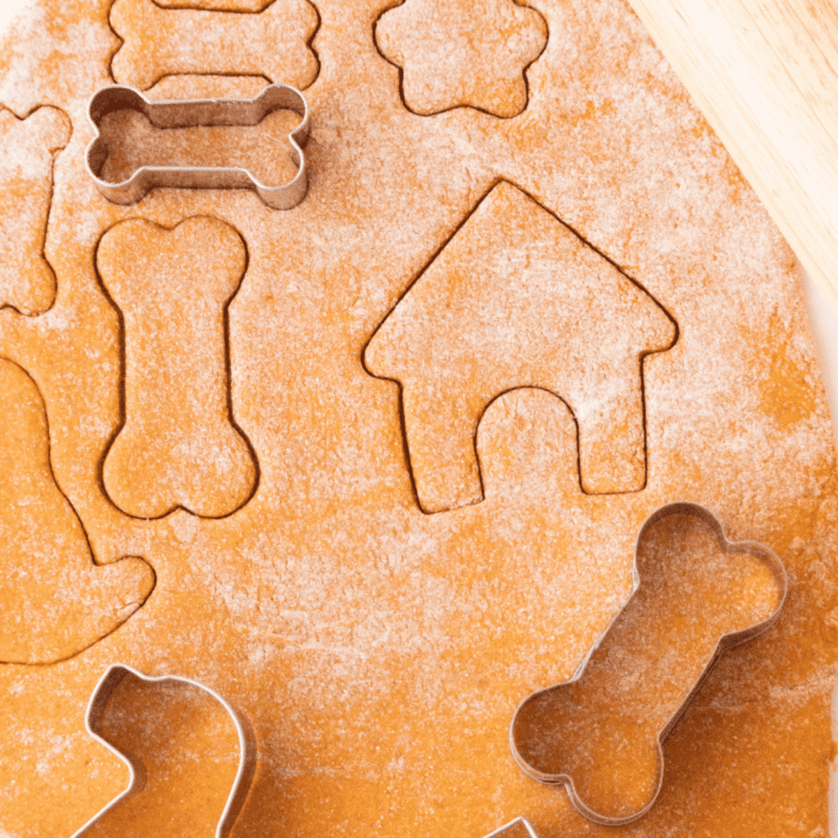 Rolling out dog treat dough and cutting shapes with cookie cutters on a floured surface.