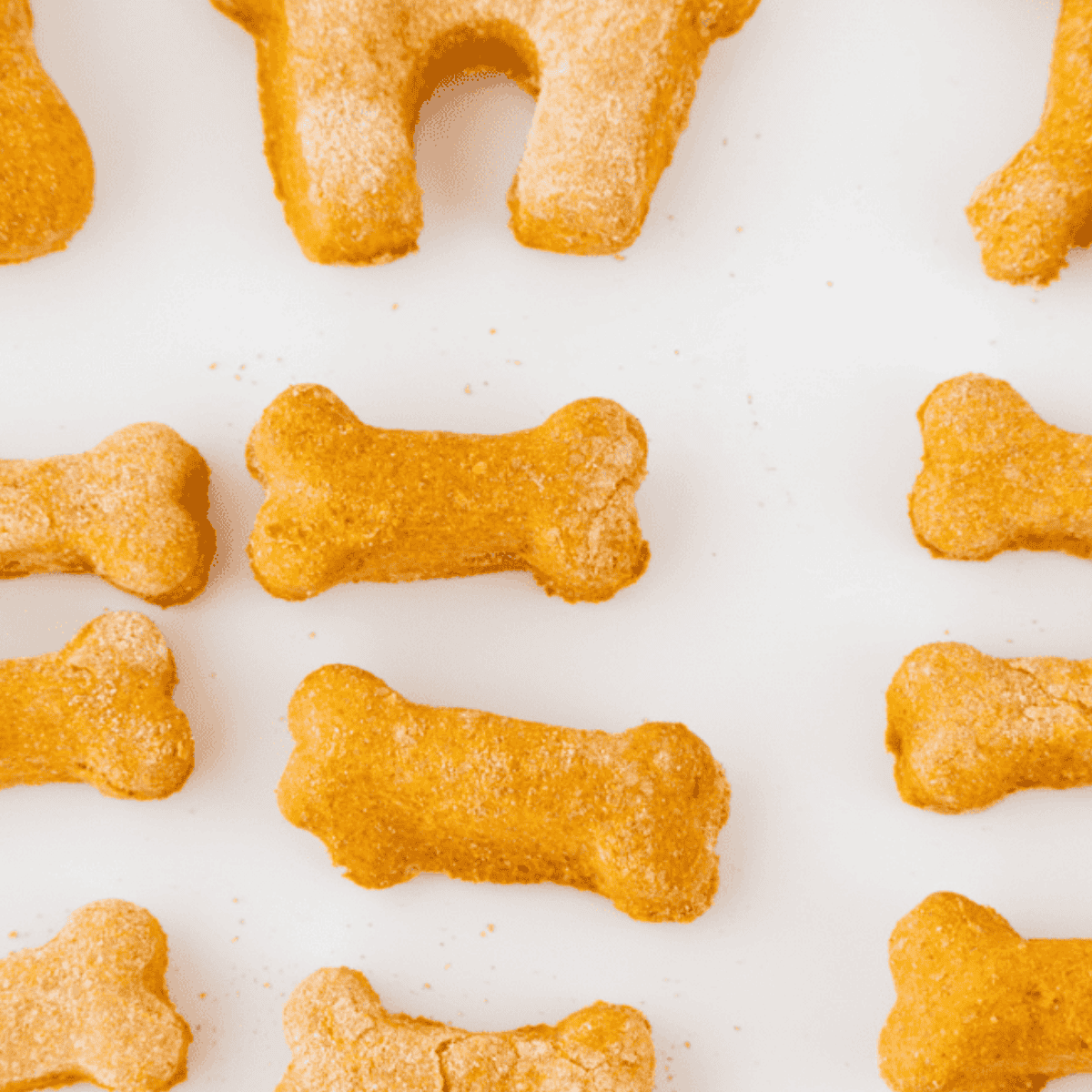 Homemade air fryer dog treats cooling on a rack, shaped with cookie cutters.