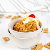 Air-Fryer-Fried-Ice-Cream