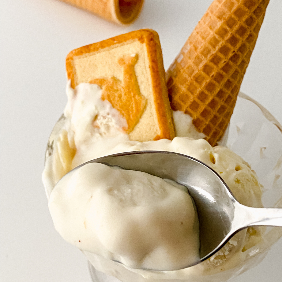 Ingredients Needed For Ninja Creami Banana Cheesecake Ice Cream