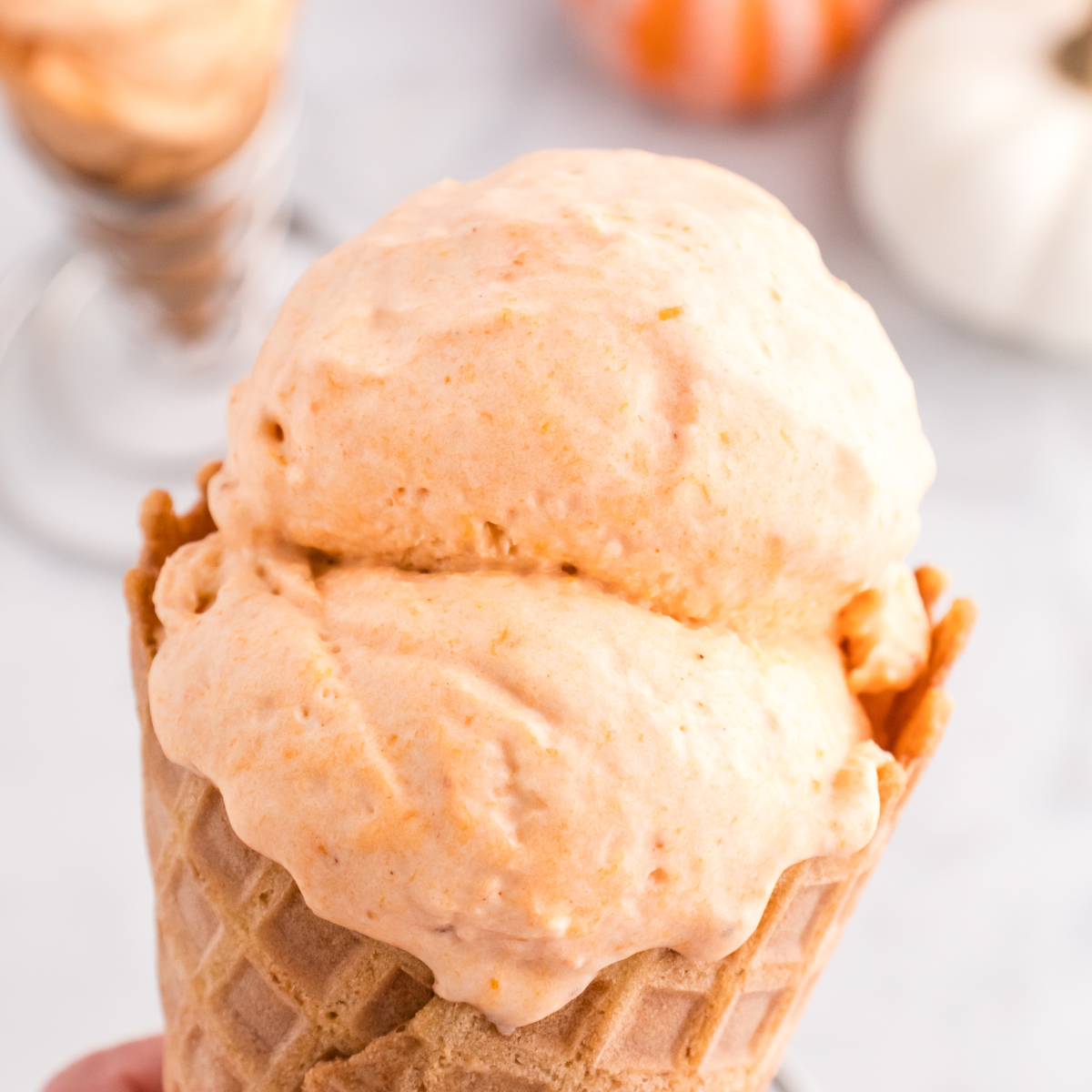 Pumpkin Pie Protein Ice Cream (Ninja Creami Recipe) - Basics with Bails
