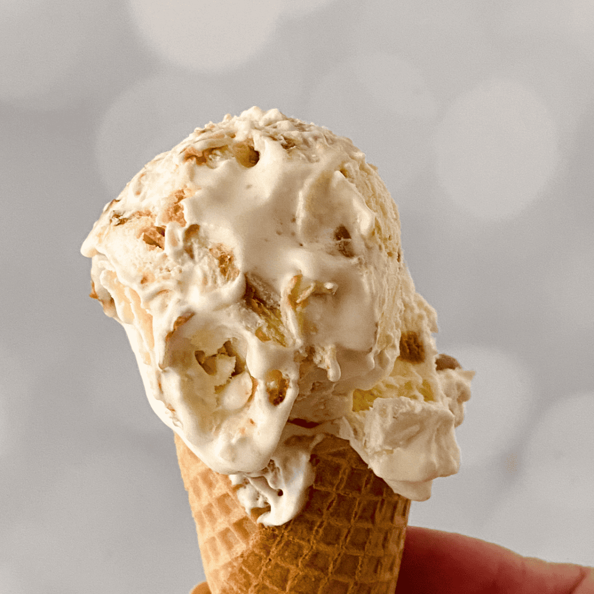 Ninja Creami Cookie Butter Ice Cream - Fork To Spoon